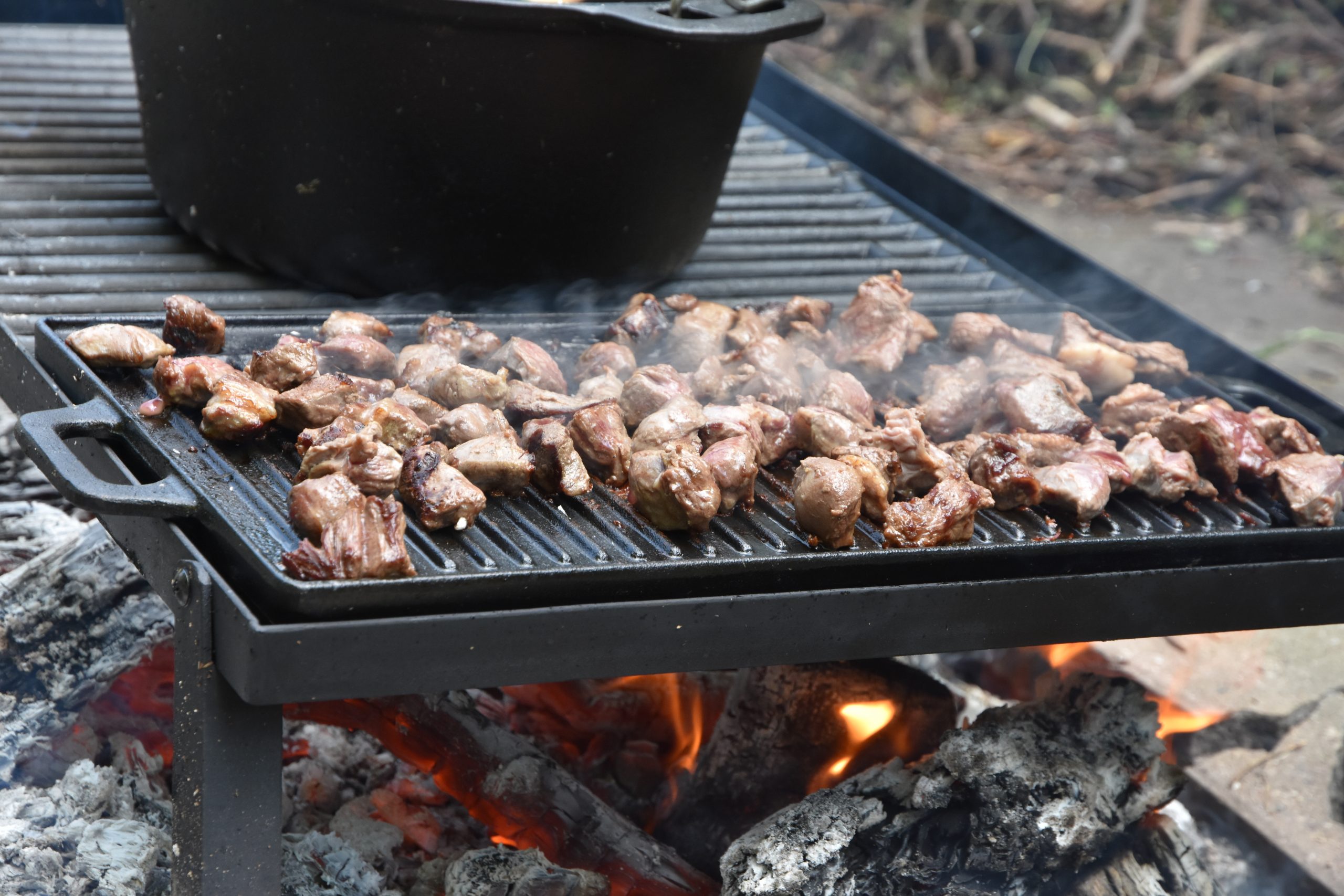 Bon-fire Grill with grill grids of cast iron and foldable legs. Photo credit: @seatroutguidefyn
